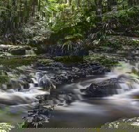 Protesters Falls Walking Track - Holiday Jervis Bay