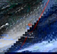 Private Blue Mountains Abseiling and Canyoning Day Trip from Sydney - Holiday Jervis Bay