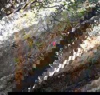 Juggler Canyon and Abseiling Adventure Blue Mountains - Holiday Jervis Bay