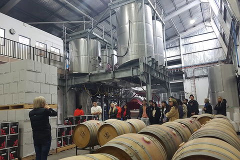 Hunter Valley Small Group Wine, Gin, Cheese & Chocolate Tour - Holiday Jervis Bay 6