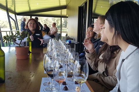 Hunter Valley Small Group Wine, Gin, Cheese & Chocolate Tour - Holiday Jervis Bay 2