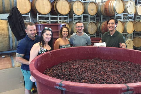 Hunter Valley Small Group Wine, Gin, Cheese & Chocolate Tour - Holiday Jervis Bay 0