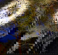 Wollemi Twilight Wildlife Tour - Holiday Jervis Bay