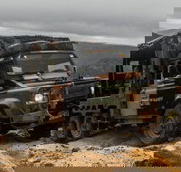 Ninety Minute Wombat Adventures Guided Tour - Holiday Jervis Bay