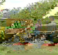 Blue Mountains Botanic Garden and Bilpin Tour from Katoomba with Cider Tasting - Holiday Jervis Bay