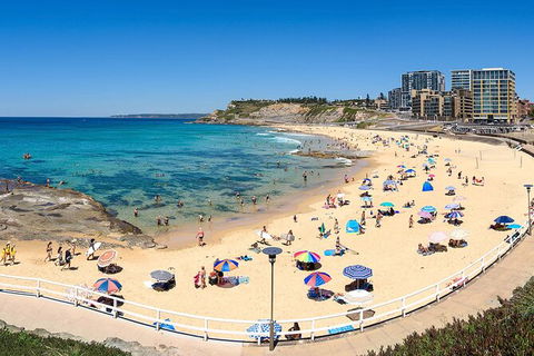 Newcastle Scenic Explorer - 2 Hour Tour By Minibus - Holiday Jervis Bay 16