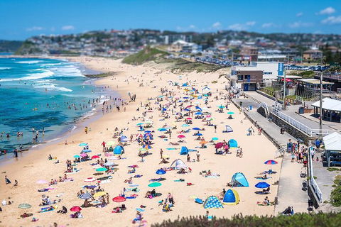 Newcastle Scenic Explorer - 2 Hour Tour By Minibus - Holiday Jervis Bay 6