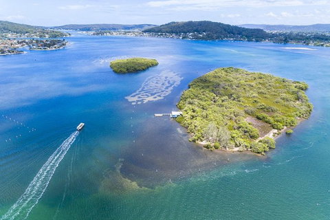 Australian Pearl Experience & Kangaroo Encounter Day Trip From Sydney - Holiday Jervis Bay 5