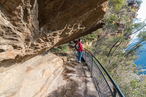 Blue Mountains Highlights & Wildlife Park - Holiday Jervis Bay 0