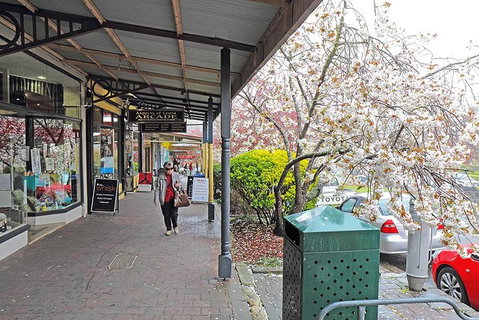 Blue Mountains Highlights & Wildlife Park - Holiday Jervis Bay 2