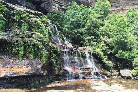 Blue Mountains Highlights & Wildlife Park - Holiday Jervis Bay 8