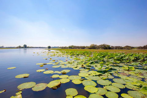 Jumping Crocs & Nature Adventure Cruise From Darwin - Holiday Jervis Bay 8