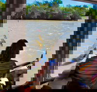 Jumping Crocs  Nature Adventure Cruise from Darwin - Holiday Jervis Bay