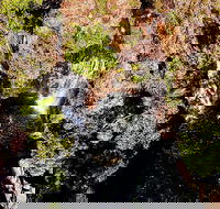 Ethical Adventures - Pure Litchfield - Holiday Jervis Bay
