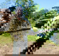 Kakadu  Arnhem Land tour Camping tour - Holiday Jervis Bay