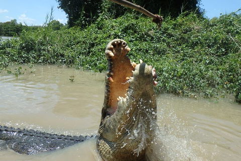 Jumping Crocodile Day Trip From Darwin - Holiday Jervis Bay 4