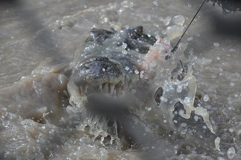 Jumping Crocodile Day Trip From Darwin - Holiday Jervis Bay 1