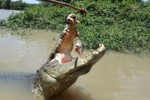 Jumping Crocodile Day Trip From Darwin - Holiday Jervis Bay 2