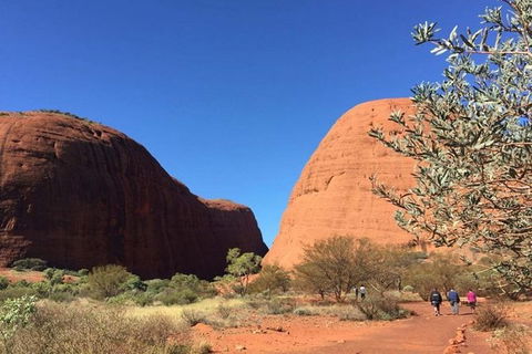 5-Hour Kata Tjuta Sunrise Tour From Ayers Rock With Breakfast - Holiday Jervis Bay 2