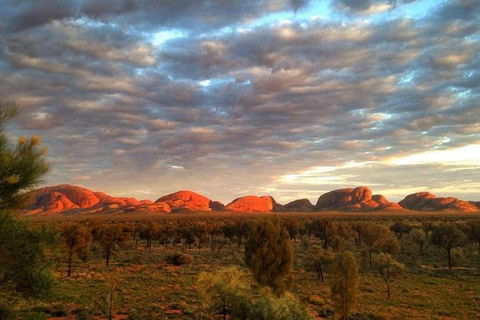 5-Hour Kata Tjuta Sunrise Tour From Ayers Rock With Breakfast - Holiday Jervis Bay 0