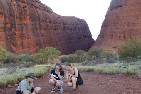 5-Hour Kata Tjuta Sunrise Tour From Ayers Rock With Breakfast - Holiday Jervis Bay 3