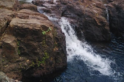 Full-Day Private Guided Tour To Litchfield National Park - Holiday Jervis Bay 8