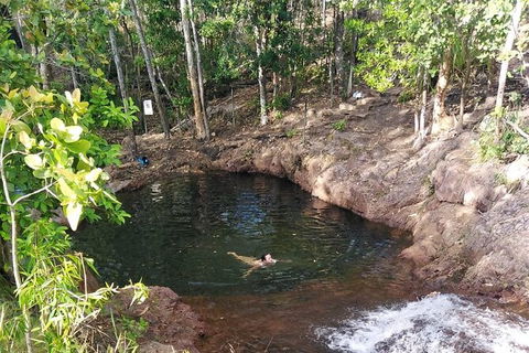 Full-Day Private Guided Tour To Litchfield National Park - Holiday Jervis Bay 18