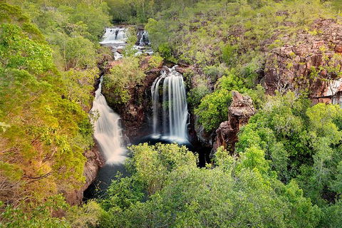 Full-Day Private Guided Tour To Litchfield National Park - Holiday Jervis Bay 0