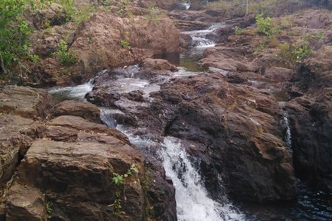 Full-Day Private Guided Tour To Litchfield National Park - Holiday Jervis Bay 15