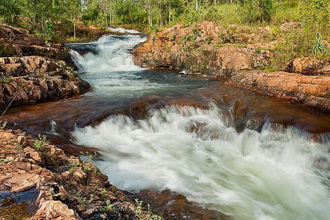 Full-Day Private Guided Tour To Litchfield National Park - Holiday Jervis Bay 3