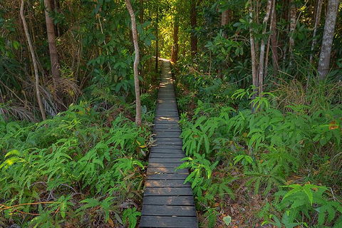 Full-Day Private Guided Tour To Litchfield National Park - Holiday Jervis Bay 7