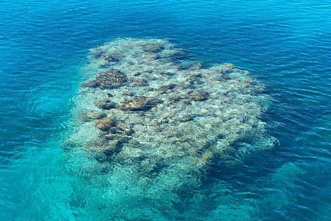 Lady Musgrave Day Trip From Bundaberg Including Snorkeling, Glass Bottom Tour And Guided Island Walk - Holiday Jervis Bay 2