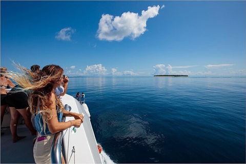 Lady Musgrave Day Trip From Bundaberg Including Snorkeling, Glass Bottom Tour And Guided Island Walk - Holiday Jervis Bay 4