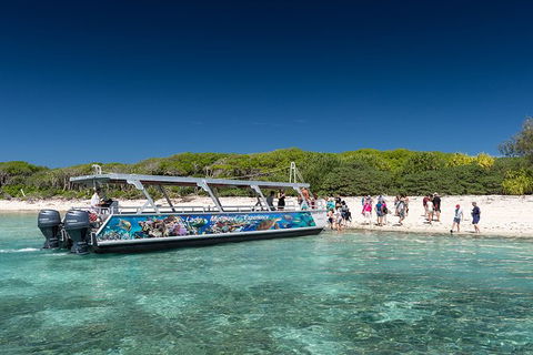 Lady Musgrave Day Trip From Bundaberg Including Snorkeling, Glass Bottom Tour And Guided Island Walk - Holiday Jervis Bay 5
