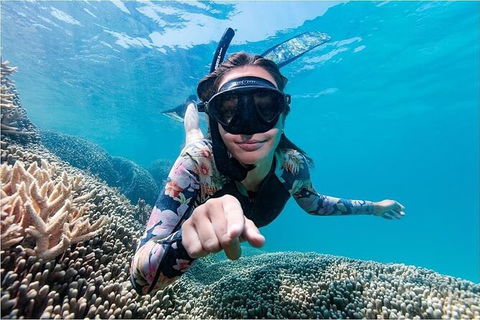 Lady Musgrave Day Trip From Bundaberg Including Snorkeling, Glass Bottom Tour And Guided Island Walk - Holiday Jervis Bay 1