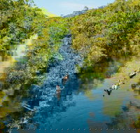 Cruise 'n' Canoe to Australia's Everglades - Holiday Jervis Bay