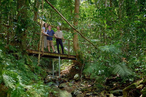 Daintree And Cape Tribulation Tour From Cairns - Holiday Jervis Bay 3