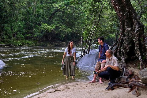Daintree And Cape Tribulation Tour From Cairns - Holiday Jervis Bay 2