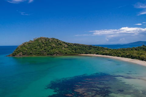 Daintree And Cape Tribulation Tour From Cairns - Holiday Jervis Bay 7
