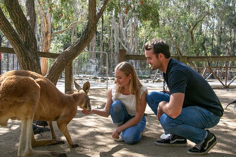 Currumbin Wildlife Sanctuary General Entry Ticket - Holiday Jervis Bay 1