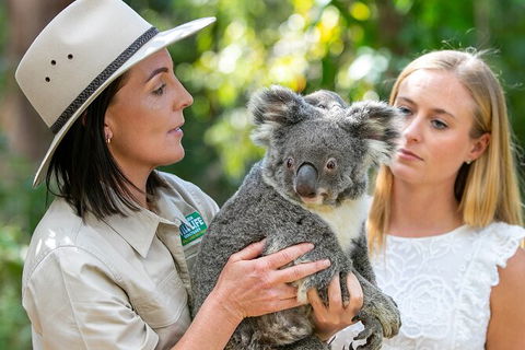 Currumbin Wildlife Sanctuary General Entry Ticket - Holiday Jervis Bay 6