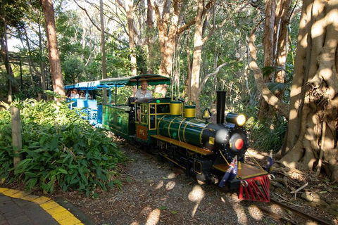 Currumbin Wildlife Sanctuary General Entry Ticket - Holiday Jervis Bay 13