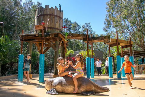 Currumbin Wildlife Sanctuary General Entry Ticket - Holiday Jervis Bay 20