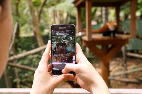 Currumbin Wildlife Sanctuary General Entry Ticket - Holiday Jervis Bay 4