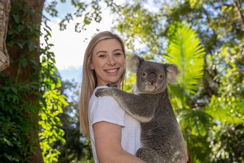 Currumbin Wildlife Sanctuary General Entry Ticket - Holiday Jervis Bay 0