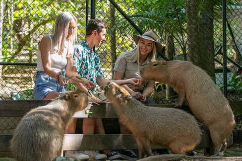 Currumbin Wildlife Sanctuary General Entry Ticket - Holiday Jervis Bay 16