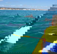 Kayak with Dolphins and 4WD Great Beach Drive Day Trip from Noosa - Holiday Jervis Bay