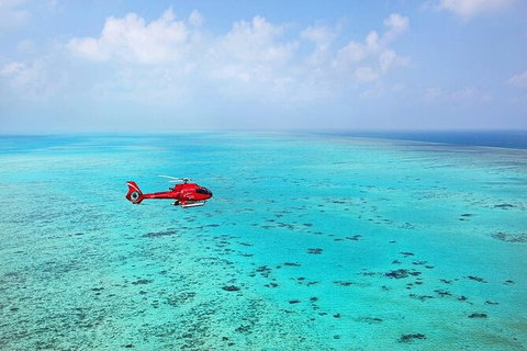 Ultimate Great Barrier Reef And Rainforest 45-minute Helicopter Tour - Holiday Jervis Bay 4