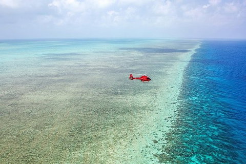 Ultimate Great Barrier Reef And Rainforest 45-minute Helicopter Tour - Holiday Jervis Bay 5