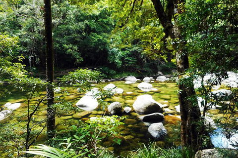 Cairns Daintree Rainforest And Cape Tribulation 2-Day Tour - Holiday Jervis Bay 0